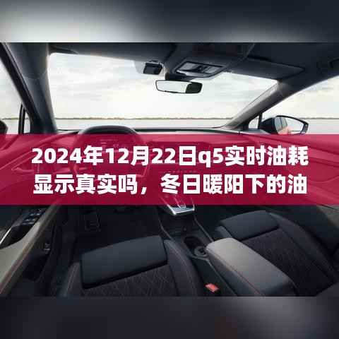 冬日暖阳下的真相探寻,2024年Q5实时油耗显示的可信度与友情之旅
