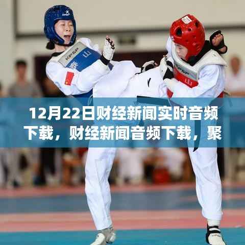 12月22日财经新闻实时音频下载,深度探讨与观点争议