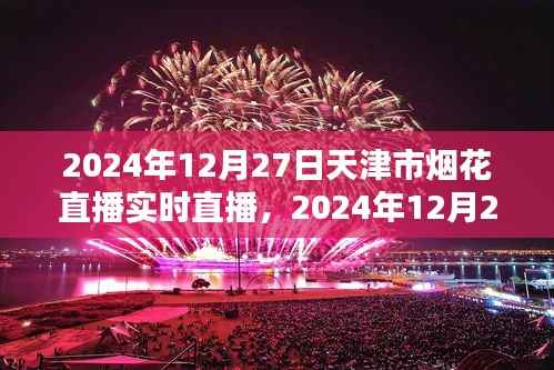 天津市烟花直播盛宴,实时观赏指南与直播回顾