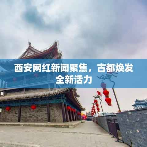 西安网红新闻聚焦,古都焕发全新活力