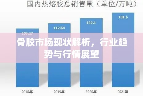 骨胶市场现状解析,行业趋势与行情展望