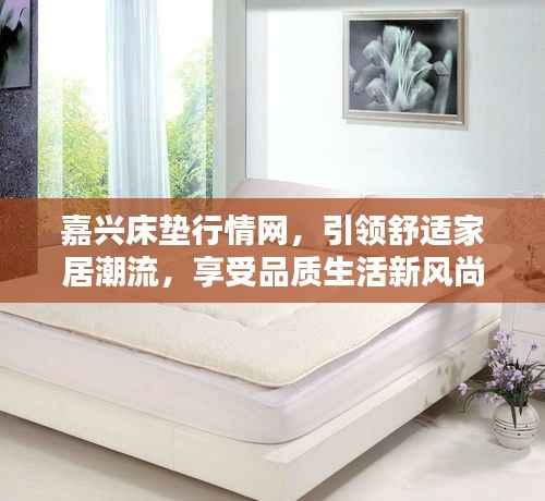 嘉兴床垫行情网,引领舒适家居潮流,享受品质生活新风尚