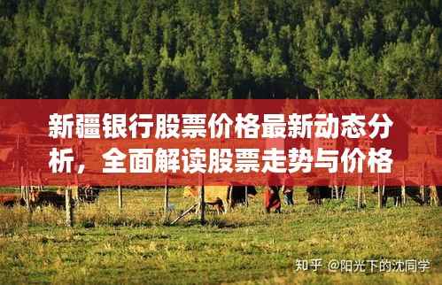 新疆银行股票价格最新动态分析,全面解读股票走势与价格表