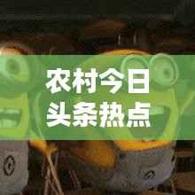 农村今日头条热点速递,最新消息一网打尽