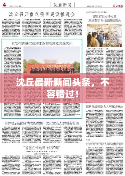 发硎新试 第2页