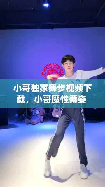 小哥独家舞步视频下载，小哥魔性舞姿 