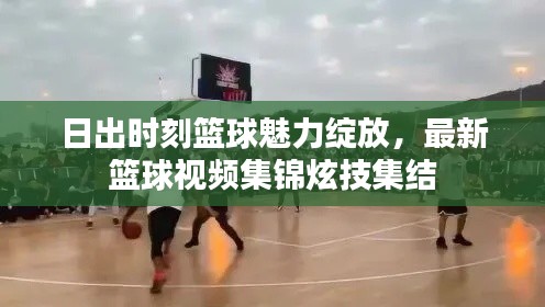 日出时刻篮球魅力绽放,最新篮球视频集锦炫技集结