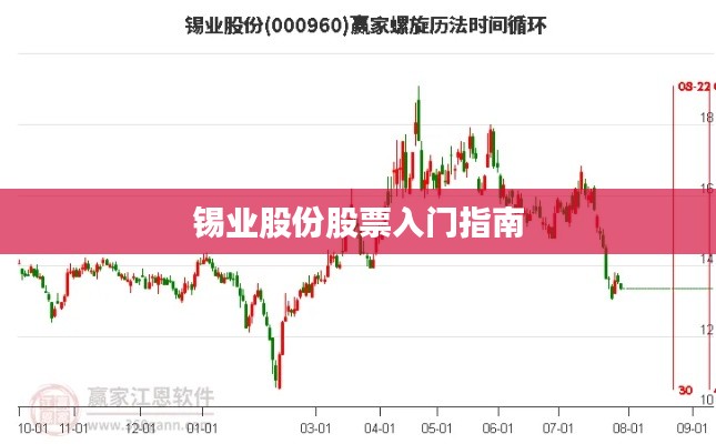 锡业股份股票入门指南