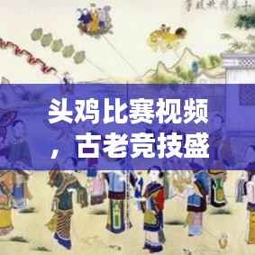 头鸡比赛视频,古老竞技盛宴再现辉煌!