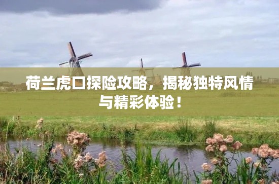 荷兰虎口探险攻略,揭秘独特风情与精彩体验!