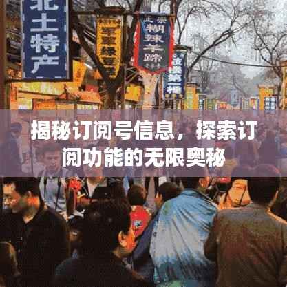 揭秘订阅号信息,探索订阅功能的无限奥秘