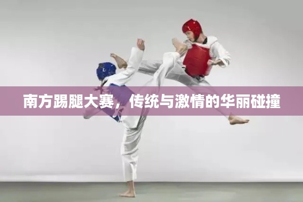 南方踢腿大赛,传统与激情的华丽碰撞