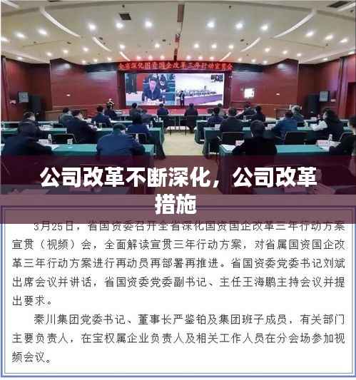 公司改革不断深化,公司改革措施