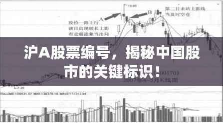 沪A股票编号,揭秘中国股市的关键标识!