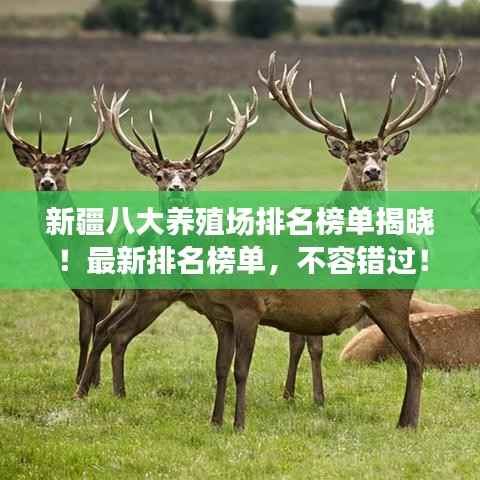 新疆八大养殖场排名榜单揭晓!最新排名榜单,不容错过!
