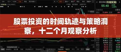 股票投资的时间轨迹与策略洞察,十二个月观察分析