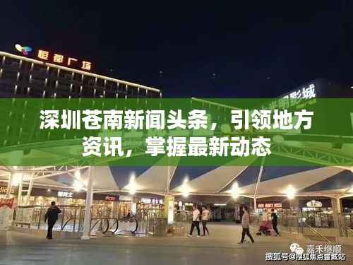 深圳苍南新闻头条,引领地方资讯,掌握最新动态