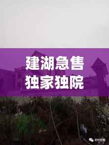 建湖急售独家独院，建湖哪里有30到40万的房子 
