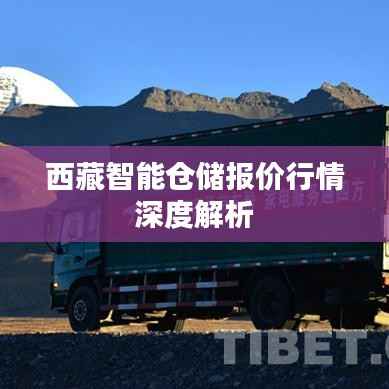 西藏智能仓储报价行情深度解析