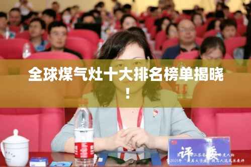 全球煤气灶十大排名榜单揭晓!