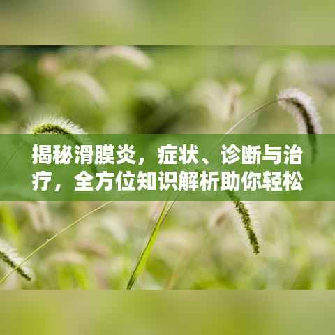 揭秘滑膜炎,症状、诊断与治疗,全方位知识解析助你轻松应对!