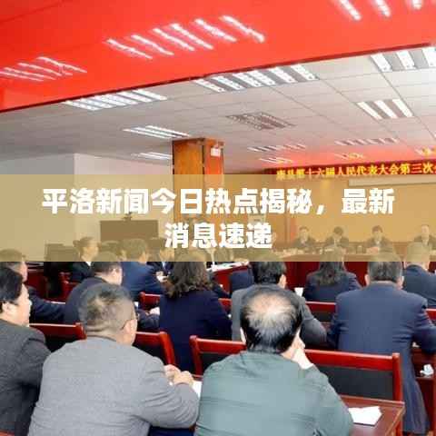 平洛新闻今日热点揭秘,最新消息速递