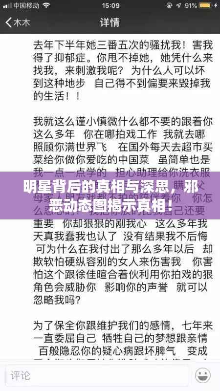 明星背后的真相与深思，邪恶动态图揭示真相！