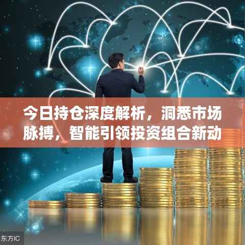 今日持仓深度解析，洞悉市场脉搏，智能引领投资组合新动向