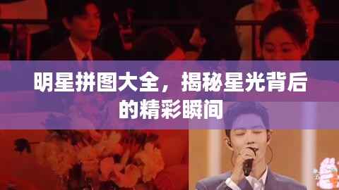 明星拼图大全,揭秘星光背后的精彩瞬间