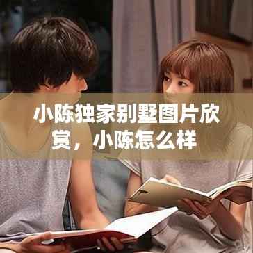 小陈独家别墅图片欣赏,小陈怎么样