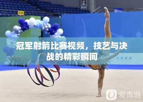 冠军射箭比赛视频,技艺与决战的精彩瞬间