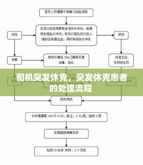 司机突发休克，突发休克患者的处理流程 