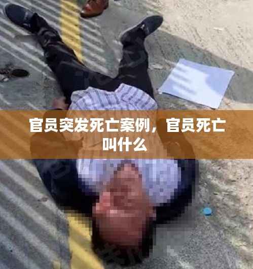 官员突发死亡案例，官员死亡叫什么 