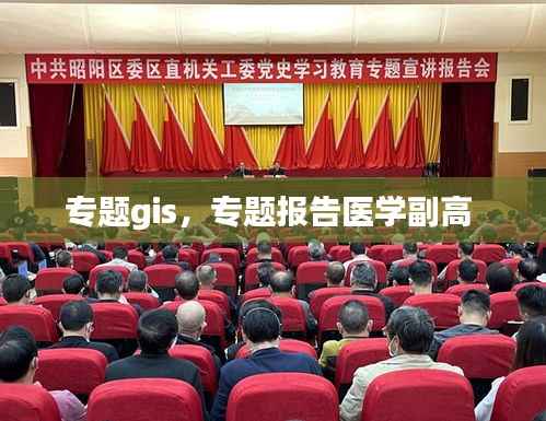 专题gis,专题报告医学副高