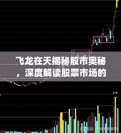 飞龙在天揭秘股市奥秘,深度解读股票市场的风云变幻