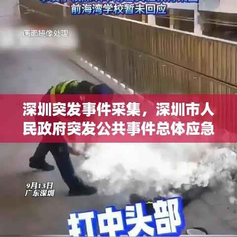深圳突发事件采集,深圳市人民政府突发公共事件总体应急预案