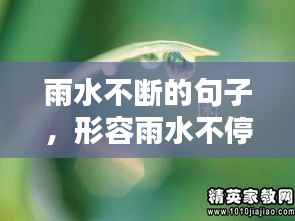 雨水不断的句子,形容雨水不停的四字词语