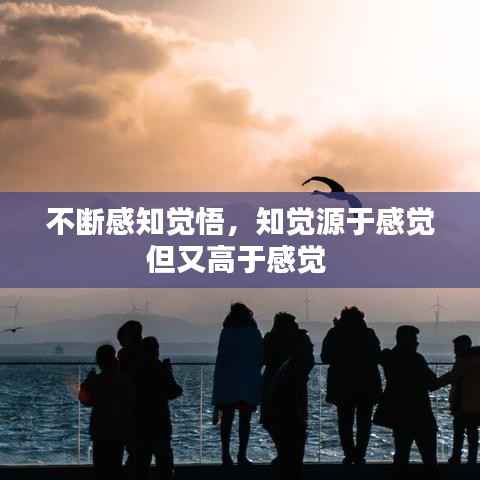 不断感知觉悟,知觉源于感觉但又高于感觉