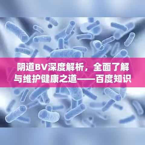 阴道BV深度解析,全面了解与维护健康之道——百度知识分享