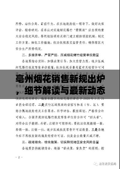 亳州烟花销售新规出炉，细节解读与最新动态