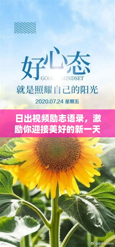 日出视频励志语录,激励你迎接美好的新一天!