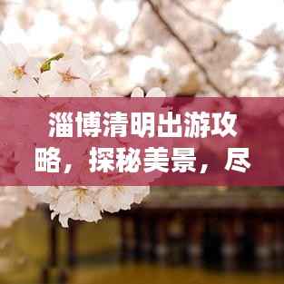淄博清明出游攻略,探秘美景,尽享文化盛宴!