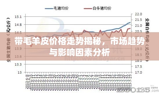 带毛羊皮价格走势揭秘，市场趋势与影响因素分析