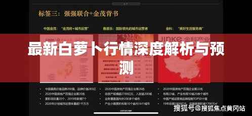 最新白萝卜行情深度解析与预测